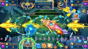 72win
